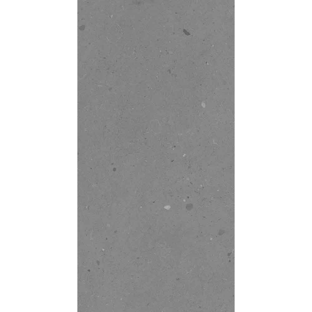 SAVONA MINERAL MATT 60/120 SAVONA MINERAL MATT 60/120 - imagine 1