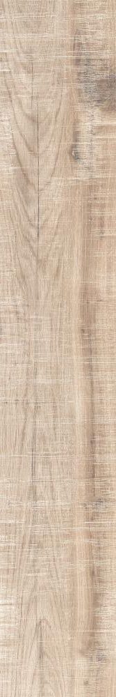 GRAPHITE BEIGE 20/120 GRAPHITE BEIGE 20/120 - imagine 1