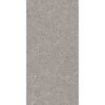 GRANITE DENSE GREY 60/120