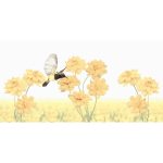 SUMMER STRIPES DECORE 30/60