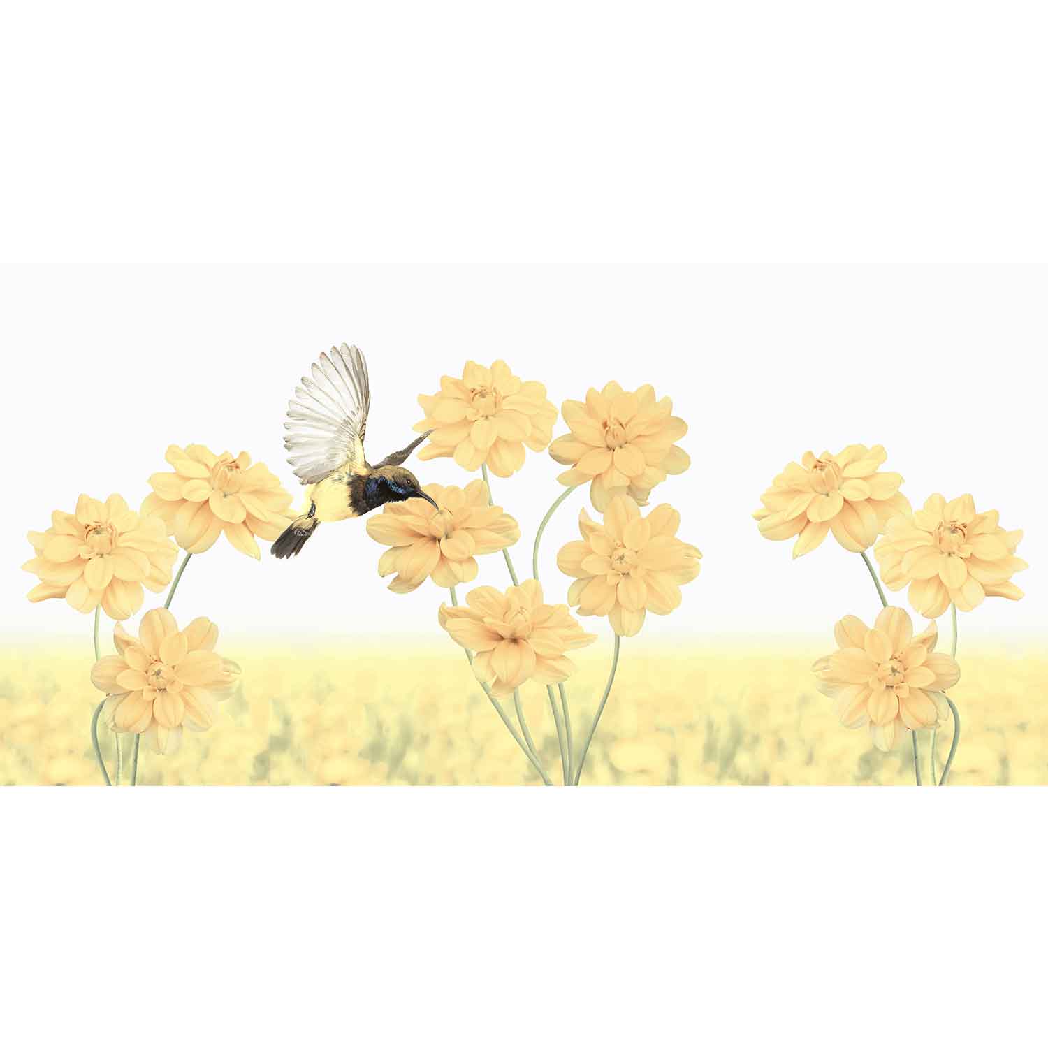 SUMMER STRIPES DECORE 30/60 SUMMER STRIPES DECORE 30/60 - imagine 1
