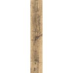 FOREST POPLAR DJ 15/90