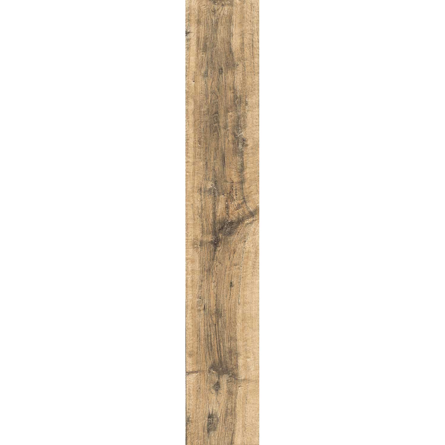 FOREST POPLAR DJ 15/90 FOREST POPLAR DJ 15/90 - imagine 1