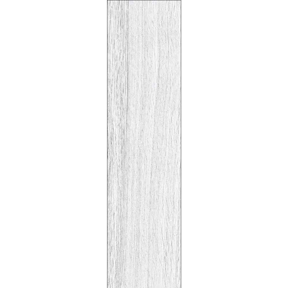 CANELLA SILVER 15.5/60.5 8979 CANELLA SILVER 15.5/60.5 8979 - imagine 1