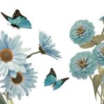 SPRING STAR DECORE 30/60