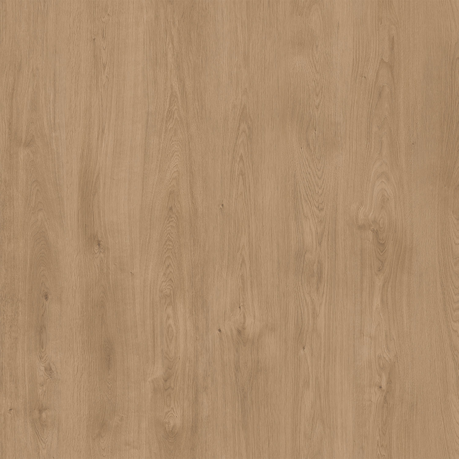 PARCHET NATURA SELECT NATURA OAK 8MM AC4 204 EP PARCHET NATURA SELECT NATURA OAK 8MM AC4 204 EP - imagine 1