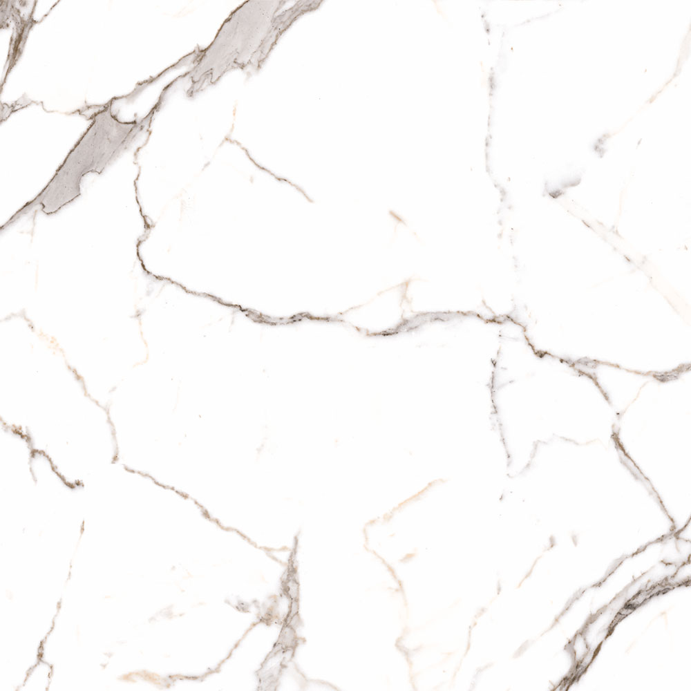 ARABELLA LIGHT GREY RECTIFIED 60.5/60.5 ARABELLA LIGHT GREY RECTIFIED 60.5/60.5 - imagine 1