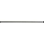 GLASS SILVER BORDER NEW 2/60 OD660-029