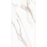 DORADO STATUARIO ENDLESS VELVET 60/120
