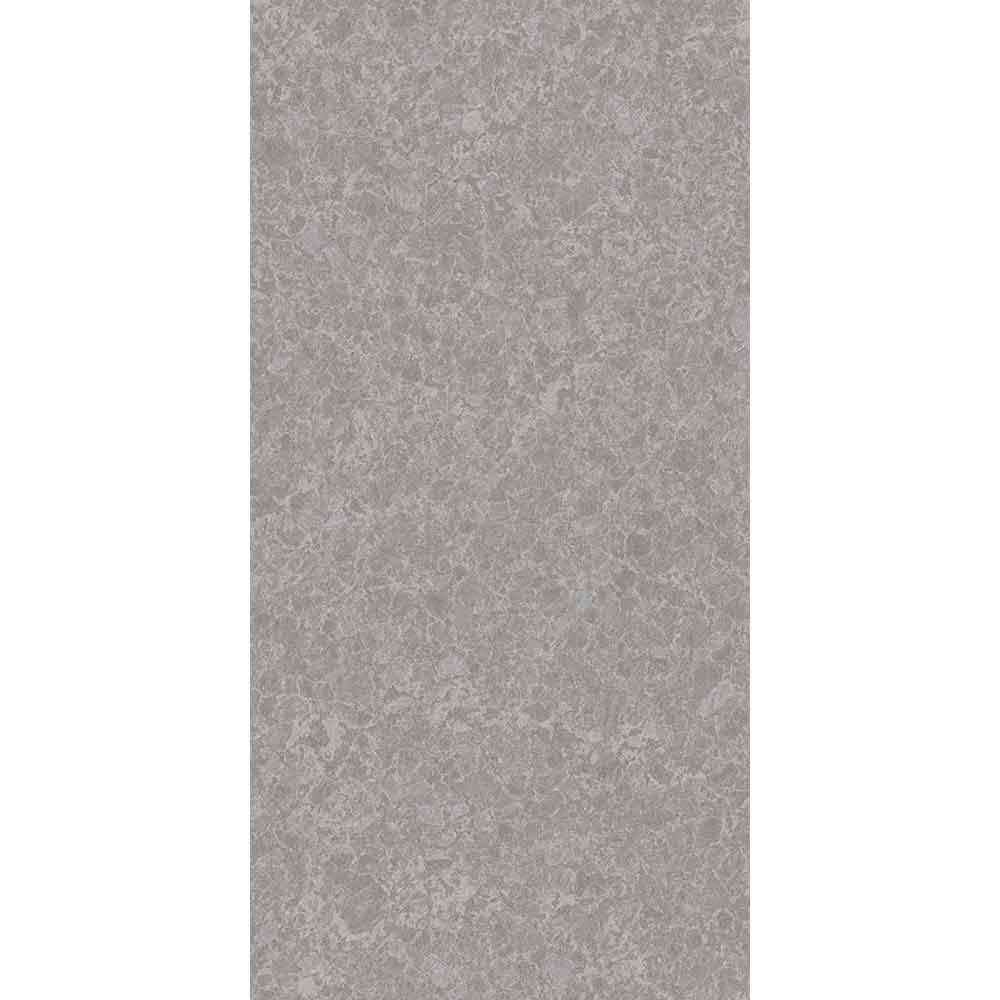 GRANITE DENSE GREY 60/120 GRANITE DENSE GREY 60/120 - imagine 1