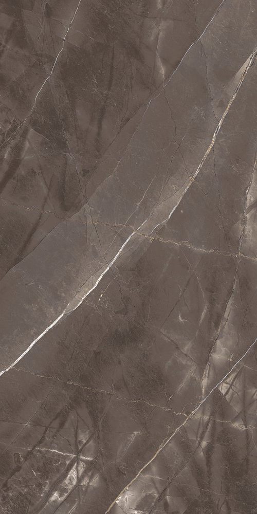 SPACE BROWN POLISHED 60/120 SPACE BROWN POLISHED 60/120 - imagine 1