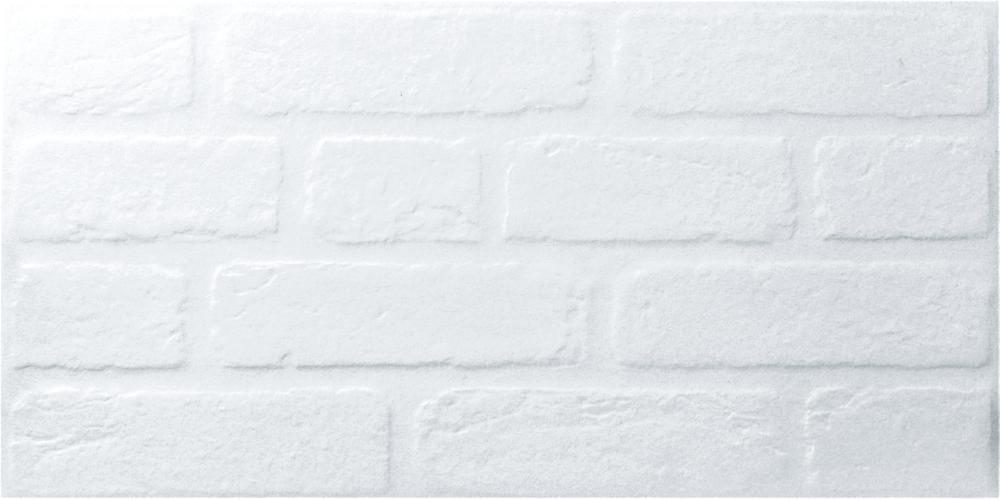 PALERMO WHITE GLOSSY 30/60 PALERMO WHITE GLOSSY 30/60 - imagine 1