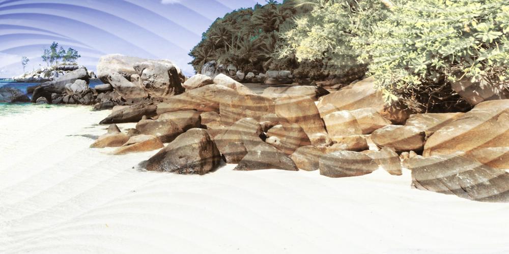 CIELO DUNE SEA DECORE B 30/60 CIELO DUNE SEA DECORE B 30/60 - imagine 1