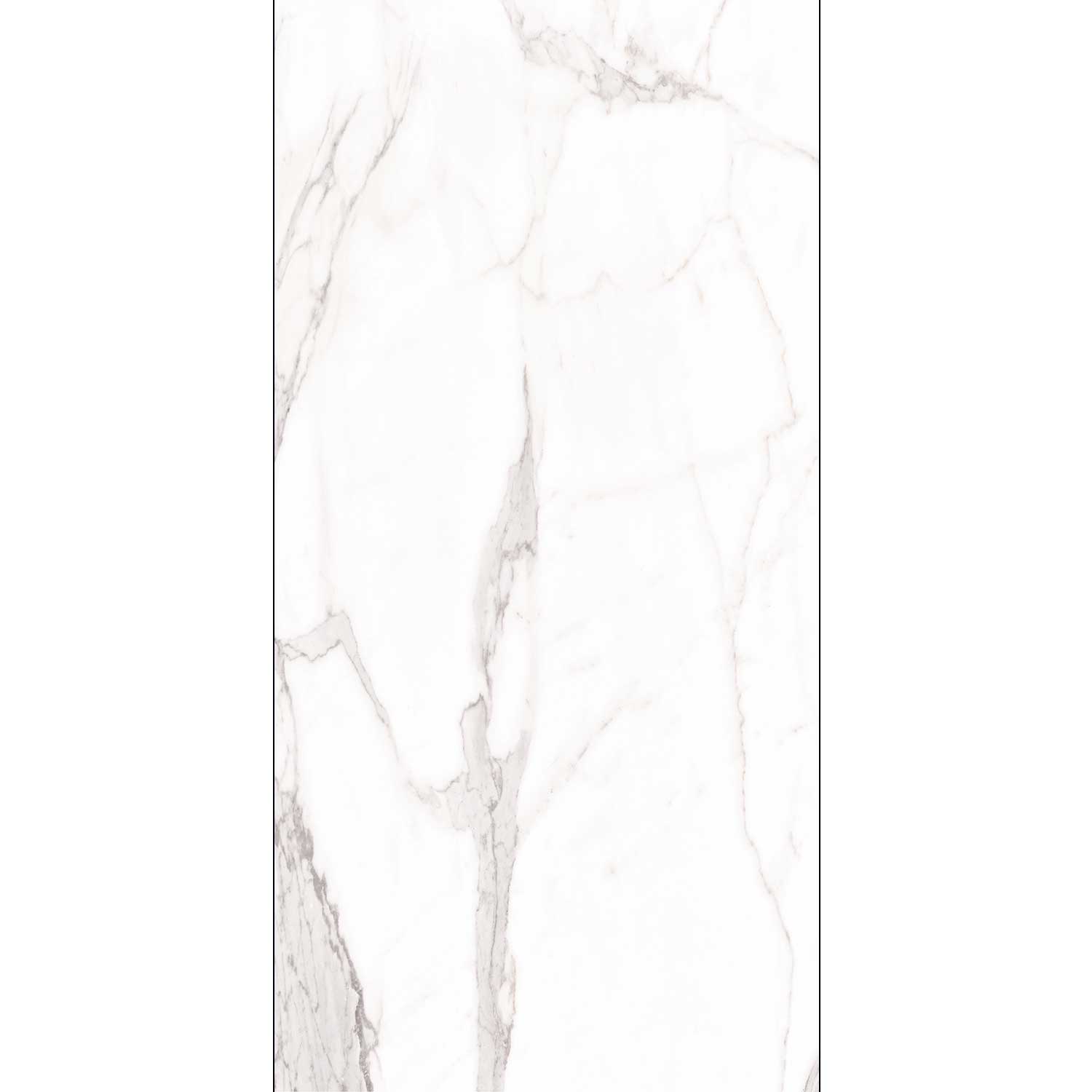 FASHION CARRARA GREY 60/120 FASHION CARRARA GREY 60/120 - imagine 1