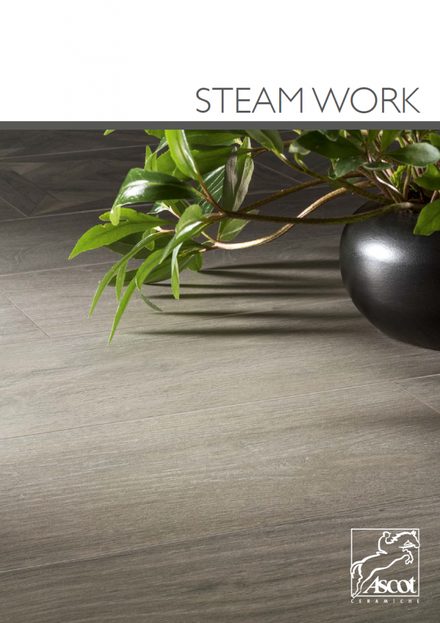 steam work