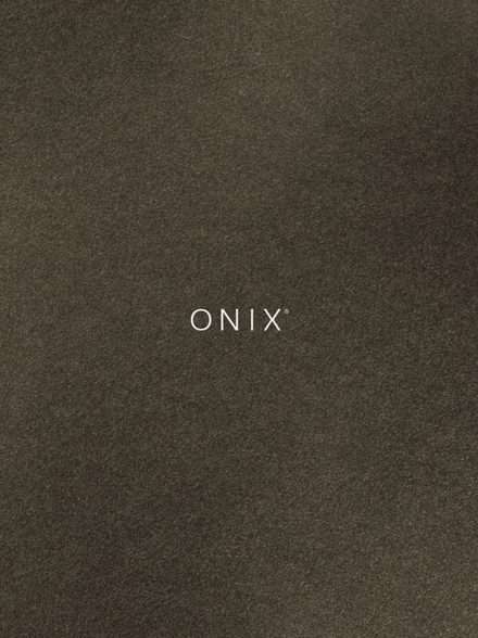 Onix General 2026